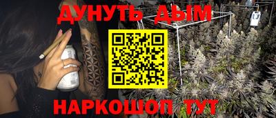крисы Северобайкальск