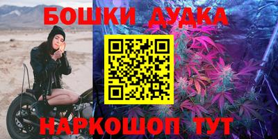 крисы Северобайкальск