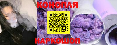 крисы Северобайкальск